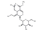 10-Hydroxyoleoside 11-methyl ester 1 10-Hydroxyoleoside 11-methyl ester