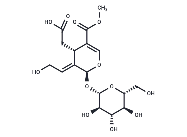 10-Hydroxyoleoside 11-methyl ester CgoaEWY7RAWEGOX AAAAAHev5FE686- Immunomart