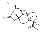 12alpha-Methoxygrandiflorenic acid