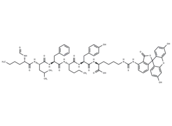 F-Chemotactic peptide-fluorescein