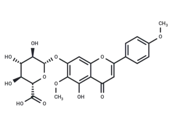 Comanthoside B