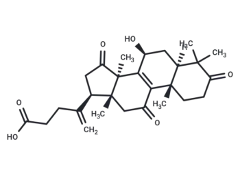 20(21)-Dehydrolucidenic acid A