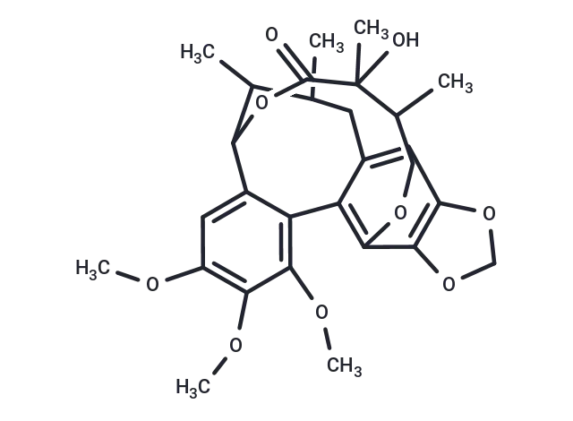 Gomisin E CgoaEWY7RpqEIE0SAAAAADWlG6M190- Immunomart