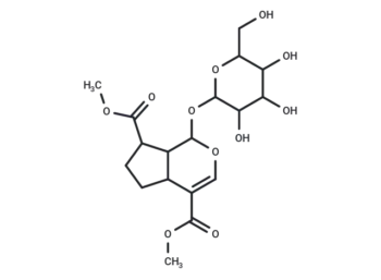 Forsythide dimethyl ester