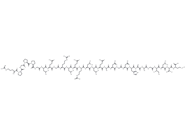 Orexin B