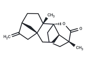 Tetrachyrin