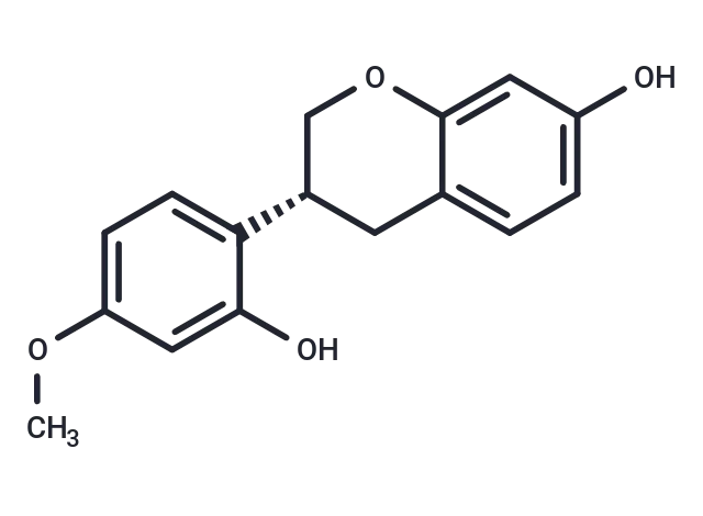 Vestitol CgoaEWY7SQ- Immunomart