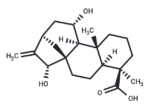 11,15-Dihydroxy-16-kauren-19-oic acid 1 11