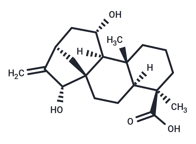 11 CgoaEWY7SRqEKmZNAAAAAEn6isY838- Immunomart