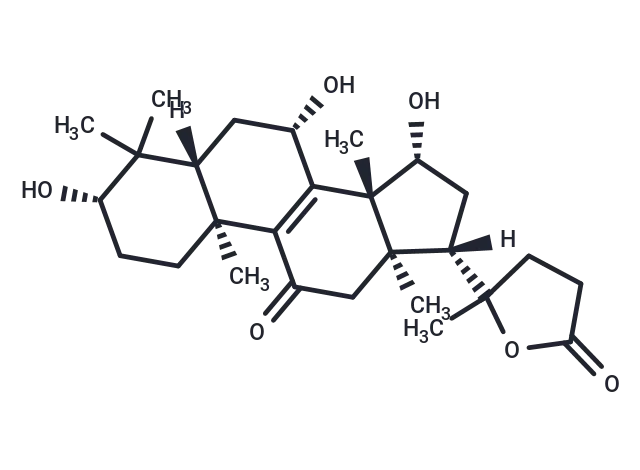 3β