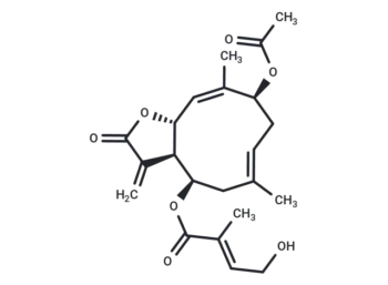 Chromolaenide