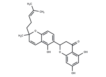 Sanggenon N