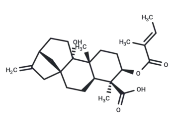 3Alaph-Tigloyloxypterokaurene L3