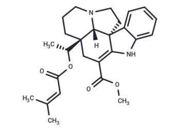 Echitovenidine