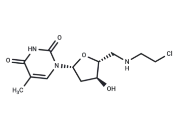 5'-Deoxy-5'-N-(2-chloroethyl)aminothymidine