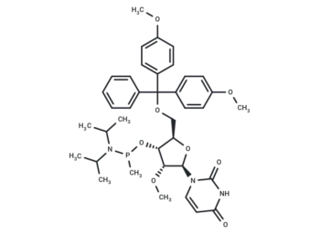 5'-O-DMTr-2'-OMeU-methyl phosphonamidite