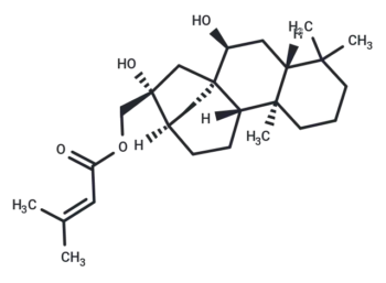 Sculponeatin N