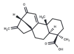 12-Oxograndiflorenic acid