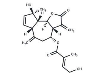 Eupalinilide B
