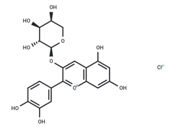 Cyanidin-3-O-arabinoside chloride