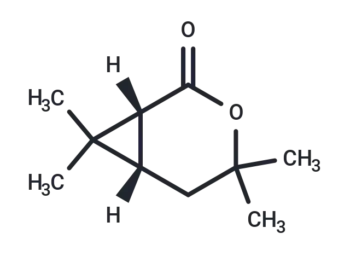 (1R)-Chrysanthemolactone