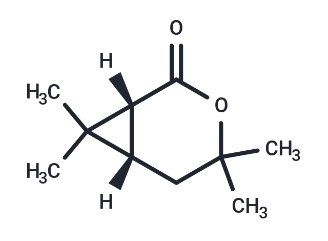 (1R)-Chrysanthemolactone