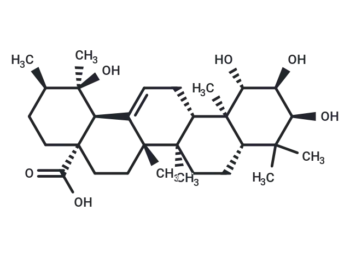 1β-Hydroxyeuscaphic acid
