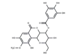 4-O-Galloylbergenin