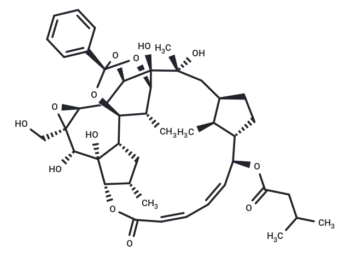 Trigothysoid N
