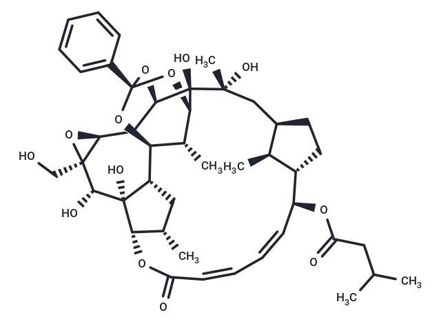 Trigothysoid N CgoaEWY7TayEdLsyAAAAANMD7ws024- Immunomart