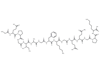 type II collagen fragment