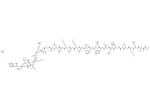 Adrenomedullin (AM) (22-52), human acetate 1 Adrenomedullin (AM) (22-52)