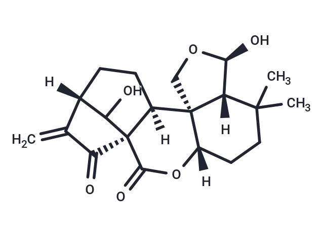 Enmein CgoaEWY7TraEcMJOAAAAAGZtu2k954- Immunomart