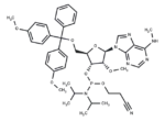 5′-O-DMTr-2′-O-methyl-N6-methyl adenosine 3′-CED phosphoramidite