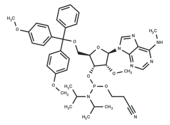 5'-O-DMTr-2'-O-methyl-N6-methyl adenosine 3'-CED phosphoramidite