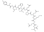 tumor protein p53 binding protein fragment [Homo sapiens]/[Mus musculus]
