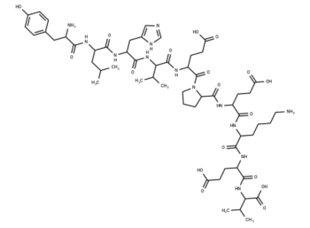 tumor protein p53 binding protein fragment [Homo sapiens]/[Mus musculus]