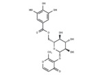 3-O-(6'-O-Galloyl)-β-D-glucopyranosylmaltol