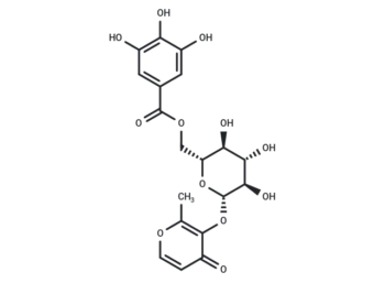 3-O-(6'-O-Galloyl)-β-D-glucopyranosylmaltol