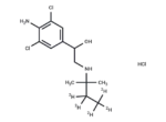 Clenpenterol-d5 hydrochloride
