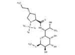Lincomycin-13C-d3