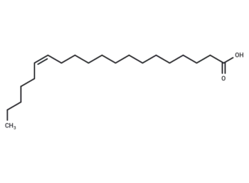 (14Z)-14-Eicosenoic acid
