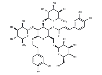 2'-Rhamnoechinacoside