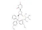 5'-O-DMTr-dU-methyl phosphonamidite 1 5′-O-DMTr-dU-methyl phosphonamidite