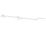C24:1 Ceramide-d7