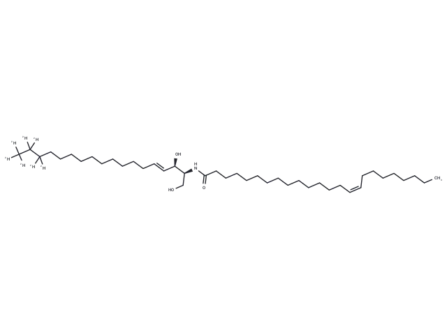 C24:1 Ceramide-d7
