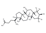 Isochenodeoxycholic Acid-d4