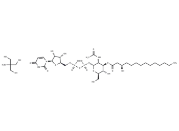 UDP-3-O-acyl-GlcNAc Tris
