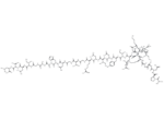 Xenopus orexin A 1 Xenopus orexin A