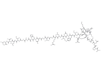 Xenopus orexin A